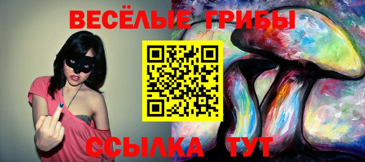 Псилоцибиновые грибы мухоморы Южноуральск