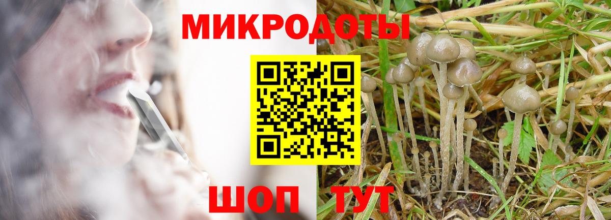 Галлюциногенные грибы мухоморы  Вход с VPN  Южноуральск 